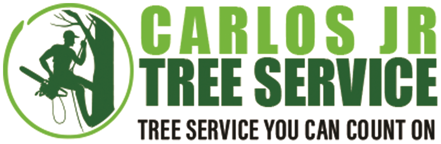 Carlos Jr. Tree Service