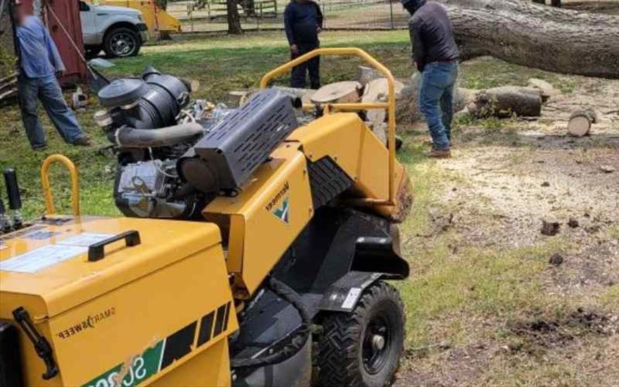 Carlos Jr. Tree Service stump grinder on site beside freshly cut rounds