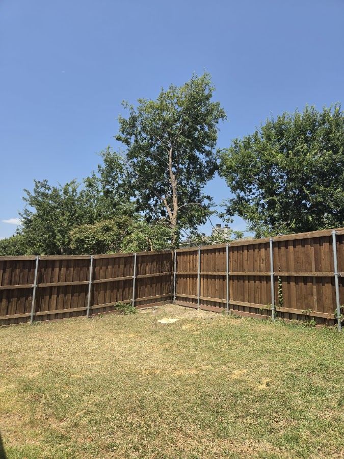 Backyard raked clean along the fence line after tree work